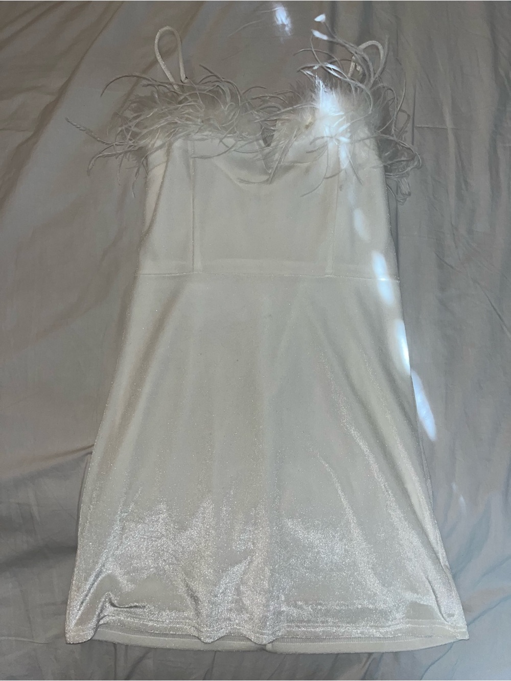 White Velvet Dress with Feather TrimMing